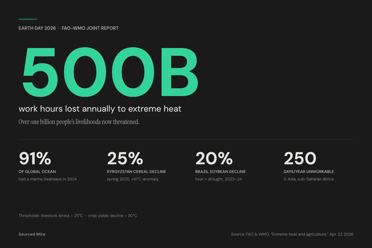 FAO and WMO: Extreme Heat Costs 500 Billion Work Hours a Year as Crop Thresholds Crack Above 30°C