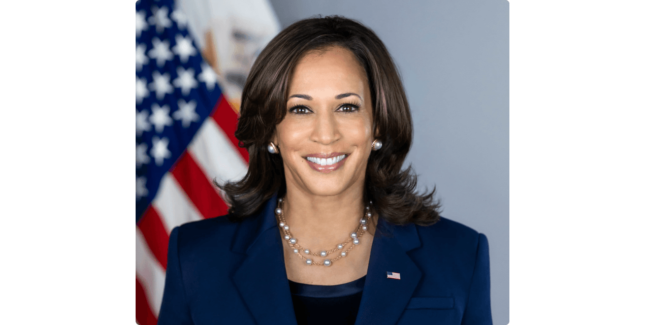 'I'm thinking about it': Harris signals 2028 presidential bid at National Action Network convention